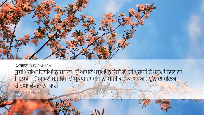 ਅਹਬਾਰ 19:19 PANIRV Bible Verse Image