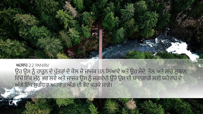 ਅਹਬਾਰ 2:2 PANIRV Bible Verse Image