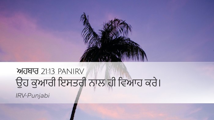 ਅਹਬਾਰ 21:13 PANIRV Bible Verse Image