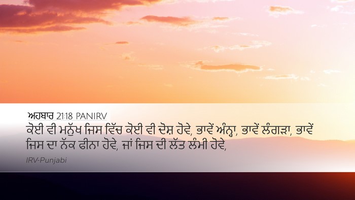 ਅਹਬਾਰ 21:18 PANIRV Bible Verse Image