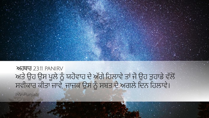 ਅਹਬਾਰ 23:11 PANIRV Desktop Wallpaper - ਅਤੇ ਉਹ ਉਸ ਪੂਲੇ ਨੂੰ - Desktop Bible Verse Wallpaper