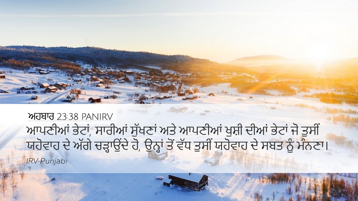 ਅਹਬਾਰ 23:38 PANIRV Bible Verse Image