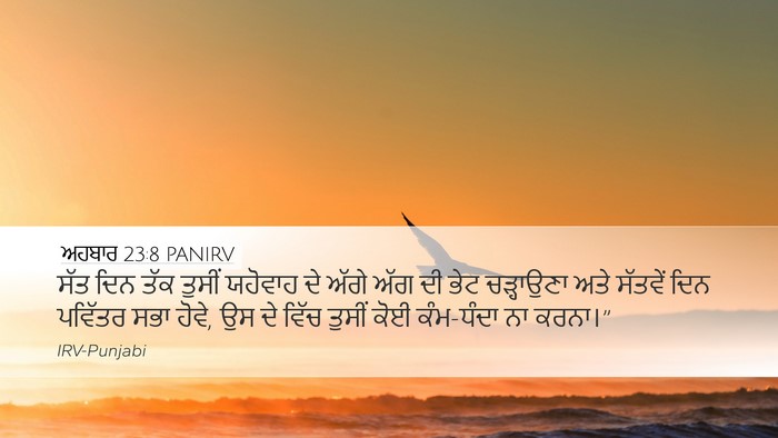 ਅਹਬਾਰ 23:8 PANIRV Bible Verse Image