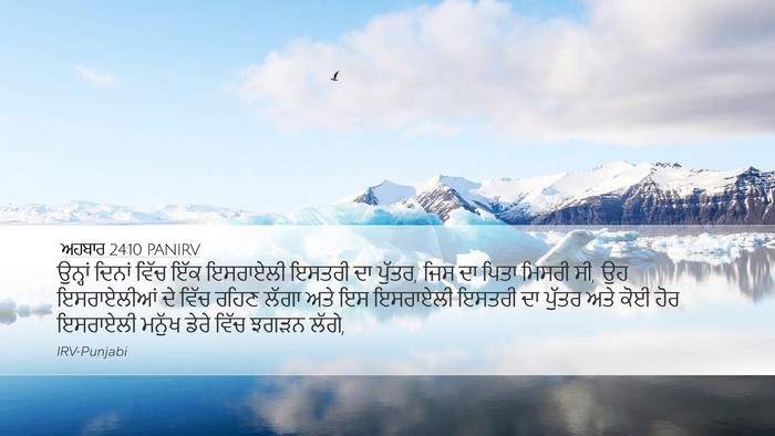 ਅਹਬਾਰ 24:10 PANIRV Bible Verse Image
