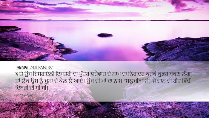 ਅਹਬਾਰ 24:11 PANIRV Bible Verse Image
