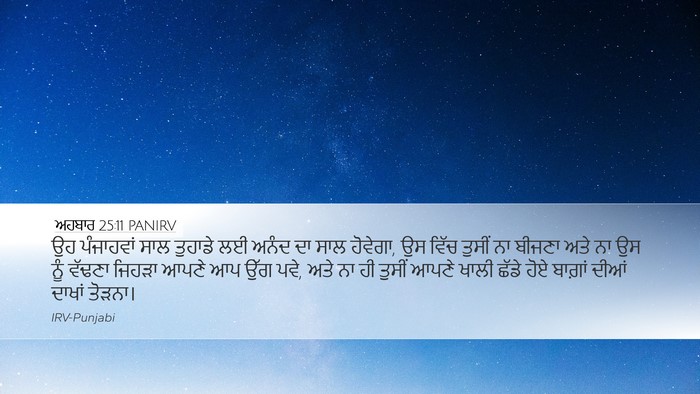 ਅਹਬਾਰ 25:11 PANIRV Desktop Wallpaper - ਉਹ ਪੰਜਾਹਵਾਂ ਸਾਲ - Desktop Bible Verse Wallpaper