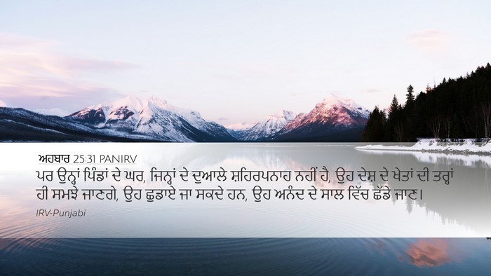 ਅਹਬਾਰ 25:31 PANIRV Bible Verse Image