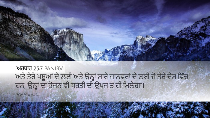 ਅਹਬਾਰ 25:7 PANIRV Desktop Wallpaper - ਅਤੇ ਤੇਰੇ ਪਸ਼ੂਆਂ ਦੇ - Desktop Bible Verse Wallpaper