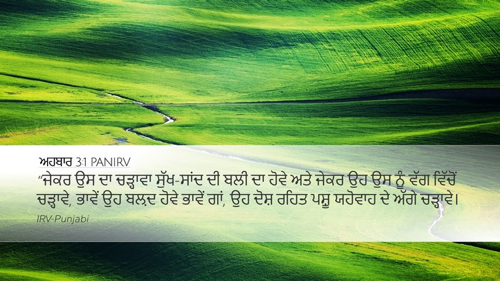 ਅਹਬਾਰ 3:1 PANIRV Bible Verse Image