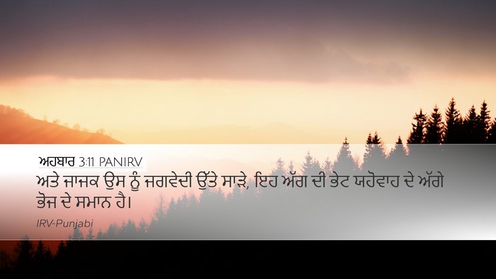ਅਹਬਾਰ 3:11 PANIRV Bible Verse Image