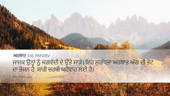 ਅਹਬਾਰ 3:16 PANIRV Bible Verse Image