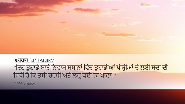 ਅਹਬਾਰ 3:17 PANIRV Bible Verse Image