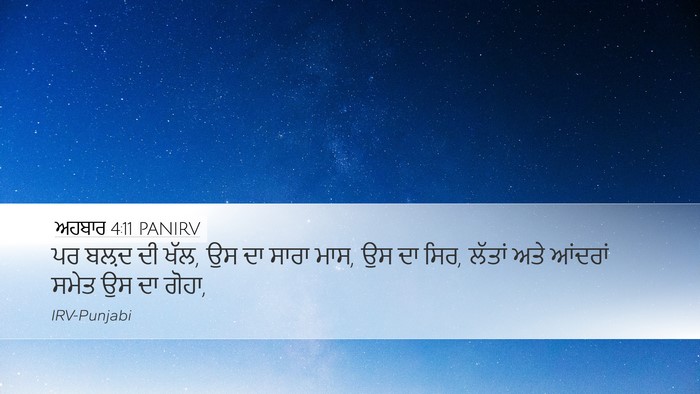 ਅਹਬਾਰ 4:11 PANIRV Bible Verse Image