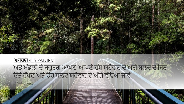 ਅਹਬਾਰ 4:15 PANIRV Bible Verse Image