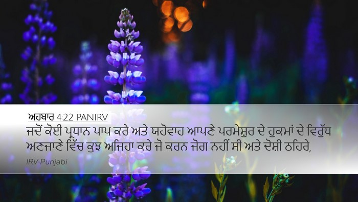 ਅਹਬਾਰ 4:22 PANIRV Bible Verse Image
