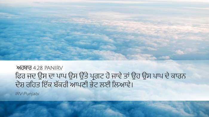 ਅਹਬਾਰ 4:28 PANIRV Bible Verse Image
