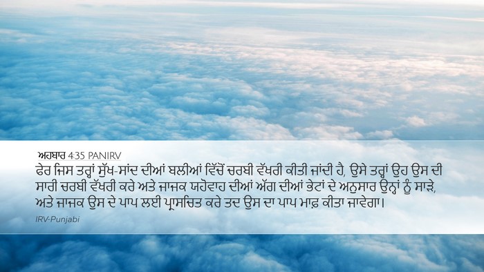 ਅਹਬਾਰ 4:35 PANIRV Bible Verse Image