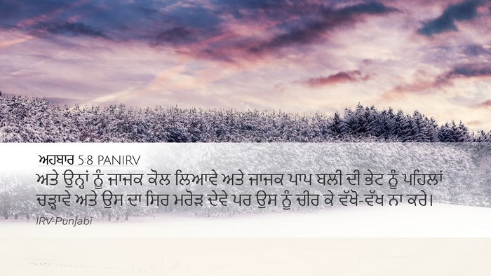 ਅਹਬਾਰ 5:8 PANIRV Bible Verse Image