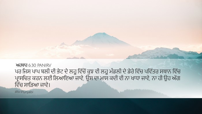 ਅਹਬਾਰ 6:30 PANIRV Bible Verse Image
