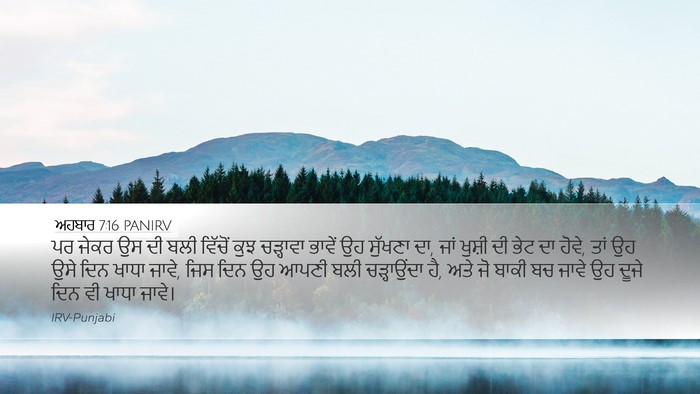 ਅਹਬਾਰ 7:16 PANIRV Bible Verse Image