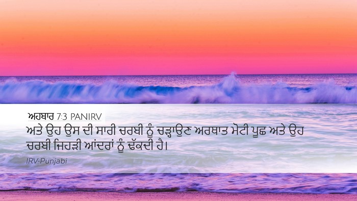 ਅਹਬਾਰ 7:3 PANIRV Bible Verse Image