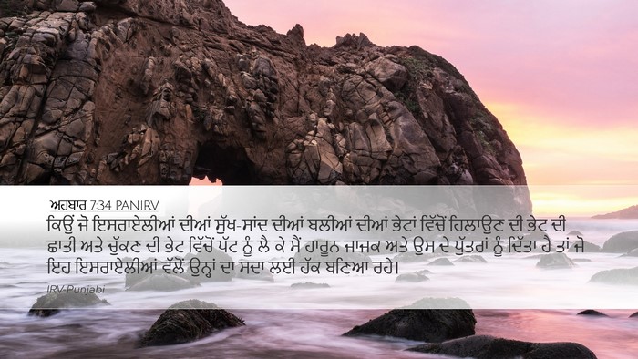 ਅਹਬਾਰ 7:34 PANIRV Bible Verse Image