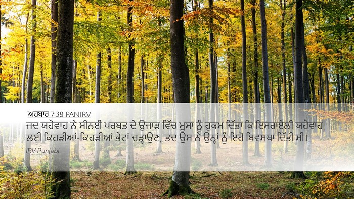 ਅਹਬਾਰ 7:38 PANIRV Bible Verse Image