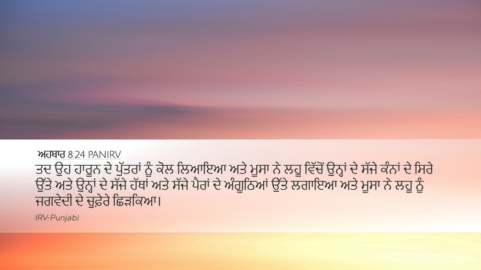 ਅਹਬਾਰ 8:24 PANIRV Desktop Wallpaper - ਤਦ ਉਹ ਹਾਰੂਨ ਦੇ - Desktop Bible Verse Wallpaper