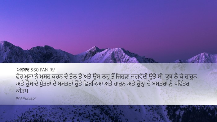 ਅਹਬਾਰ 8:30 PANIRV Bible Verse Image