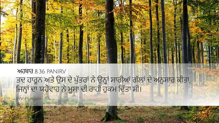 ਅਹਬਾਰ 8:36 PANIRV Bible Verse Image