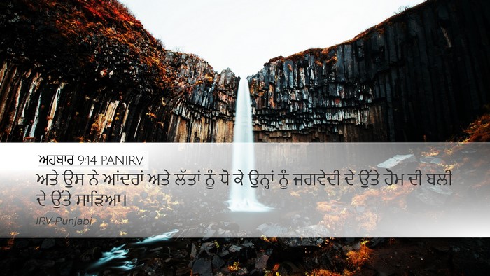 ਅਹਬਾਰ 9:14 PANIRV Desktop Wallpaper - ਅਤੇ ਉਸ ਨੇ ਆਂਦਰਾਂ - Desktop Bible Verse Wallpaper