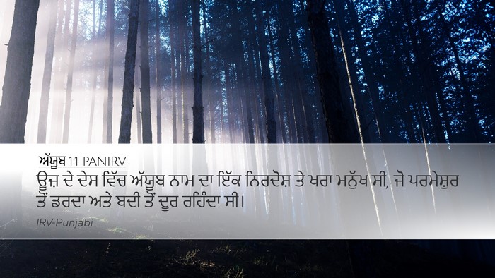 ਅੱਯੂਬ 1:1 PANIRV Desktop Wallpaper - ਊਜ਼ ਦੇ ਦੇਸ ਵਿੱਚ - Desktop Bible Verse Wallpaper