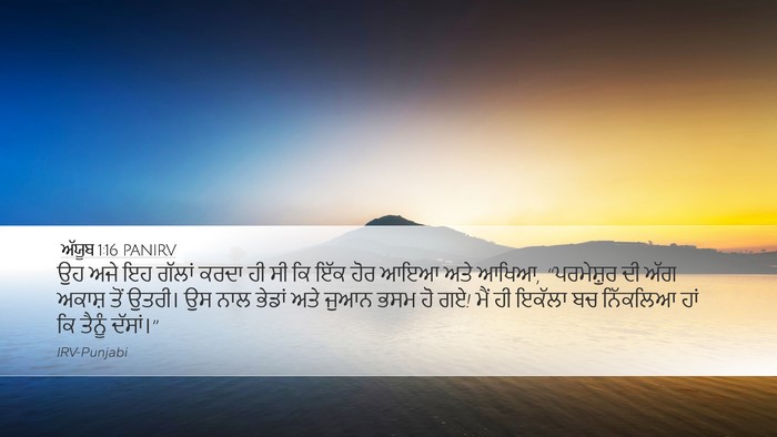 ਅੱਯੂਬ 1:16 PANIRV Bible Verse Image
