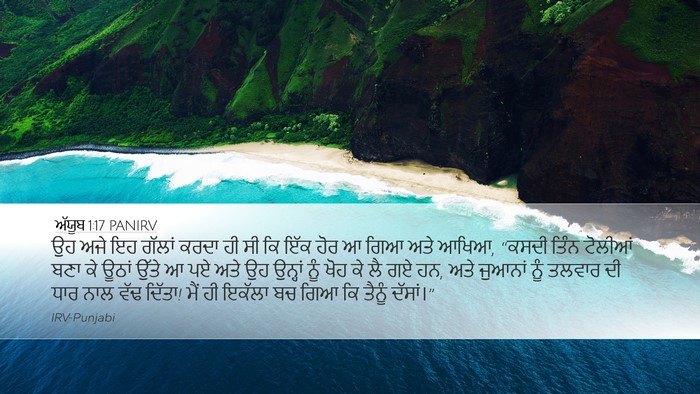 ਅੱਯੂਬ 1:17 PANIRV Bible Verse Image