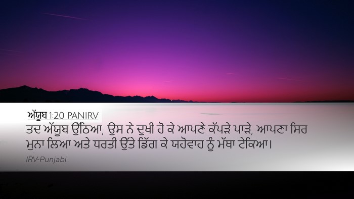 ਅੱਯੂਬ 1:20 PANIRV Bible Verse Image