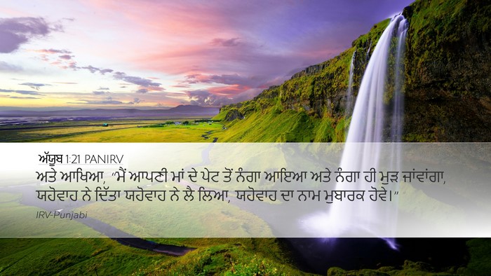 ਅੱਯੂਬ 1:21 PANIRV Bible Verse Image