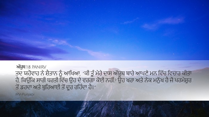 ਅੱਯੂਬ 1:8 PANIRV Bible Verse Image