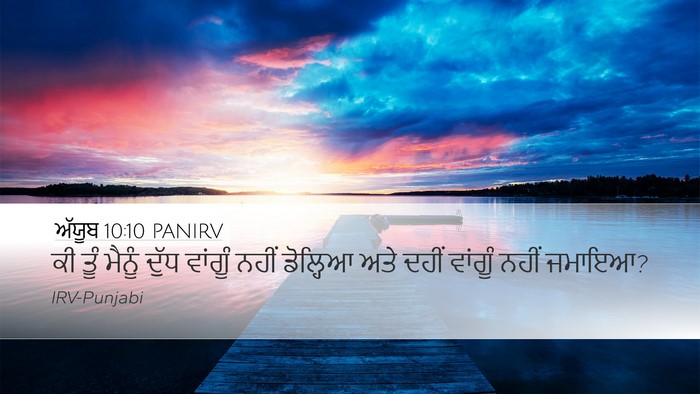 ਅੱਯੂਬ 10:10 PANIRV Bible Verse Image