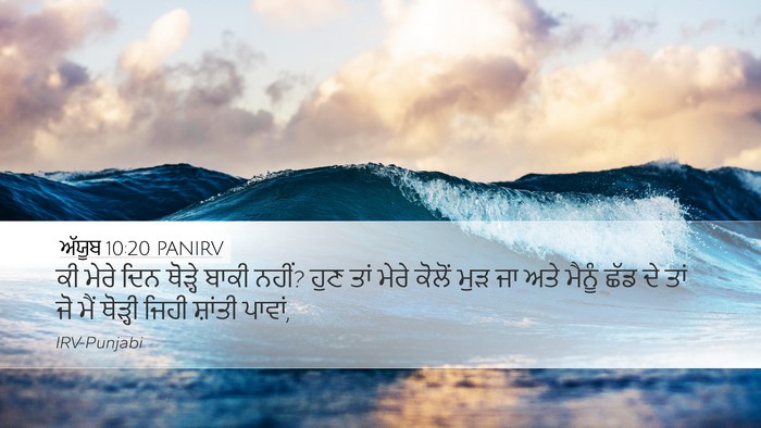ਅੱਯੂਬ 10:20 PANIRV Bible Verse Image