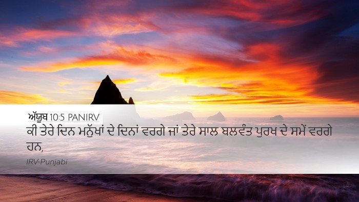 ਅੱਯੂਬ 10:5 PANIRV Bible Verse Image