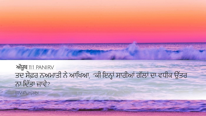 ਅੱਯੂਬ 11:1 PANIRV Bible Verse Image
