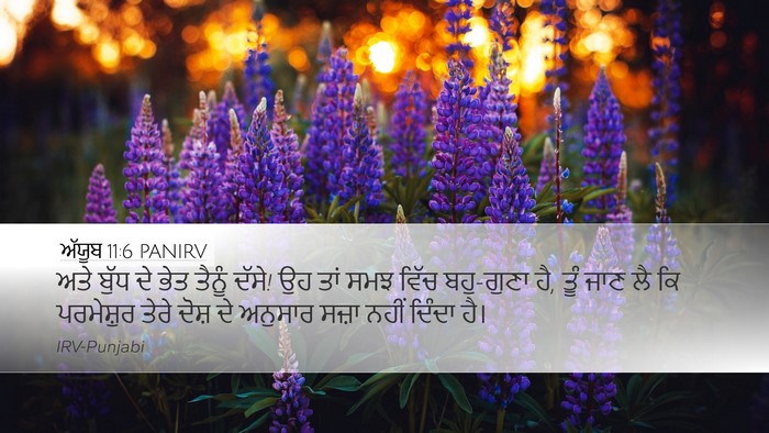 ਅੱਯੂਬ 11:6 PANIRV Bible Verse Image