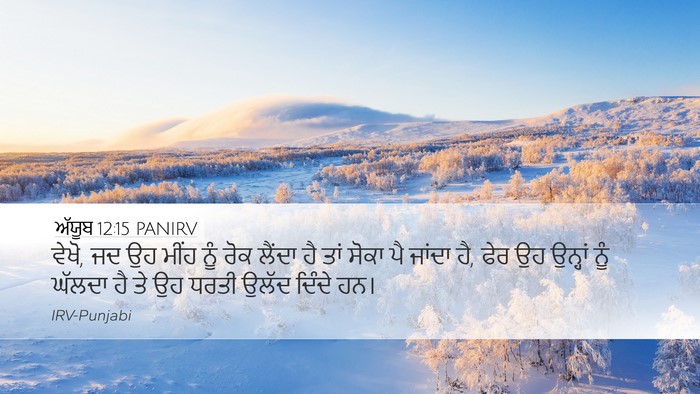 ਅੱਯੂਬ 12:15 PANIRV Bible Verse Image