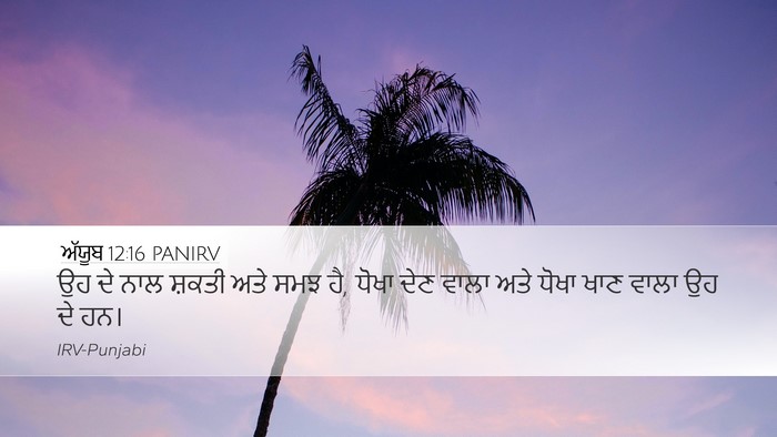 ਅੱਯੂਬ 12:16 PANIRV Bible Verse Image