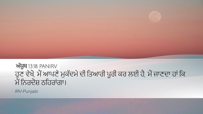 ਅੱਯੂਬ 13:18 PANIRV Bible Verse Image