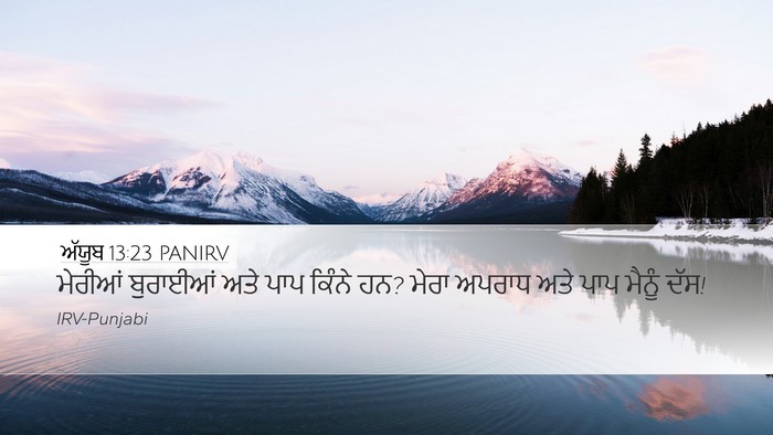 ਅੱਯੂਬ 13:23 PANIRV Bible Verse Image