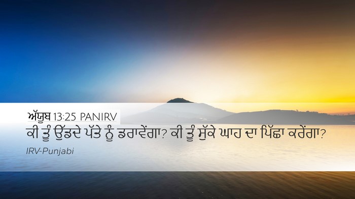 ਅੱਯੂਬ 13:25 PANIRV Bible Verse Image