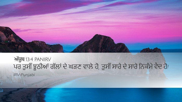 ਅੱਯੂਬ 13:4 PANIRV Bible Verse Image