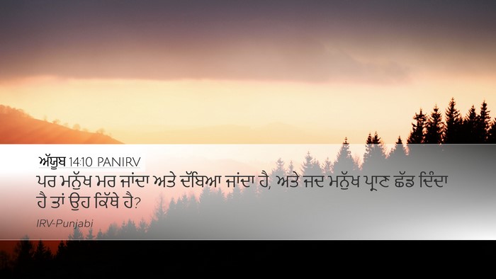 ਅੱਯੂਬ 14:10 PANIRV Bible Verse Image