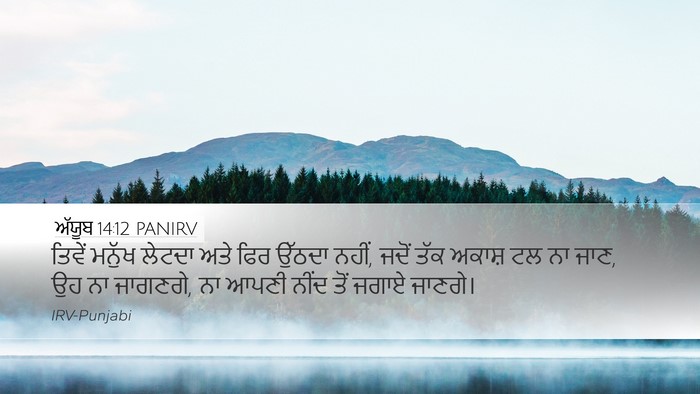 ਅੱਯੂਬ 14:12 PANIRV Bible Verse Image
